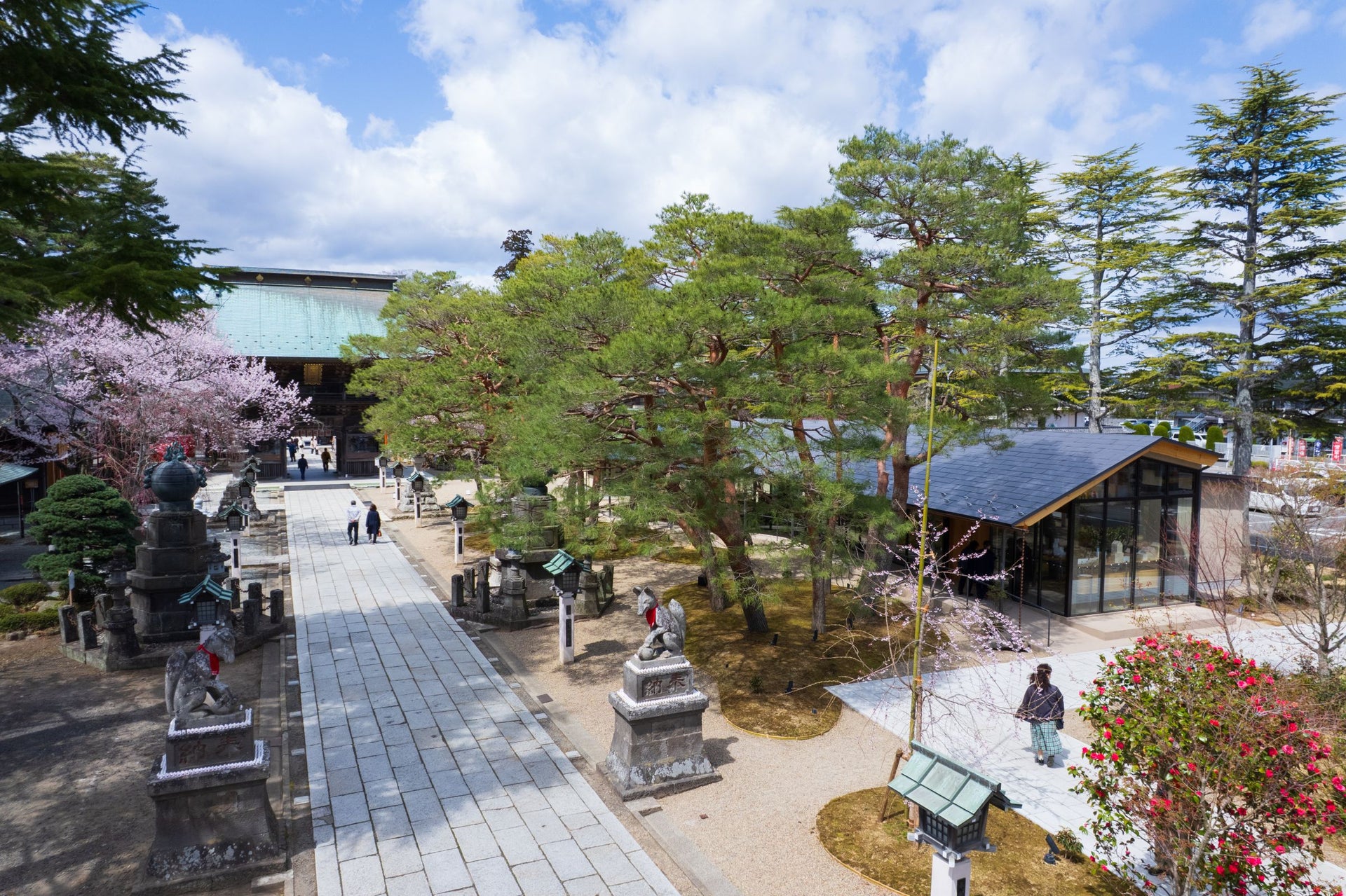 Takekoma Forest Revitalization Project